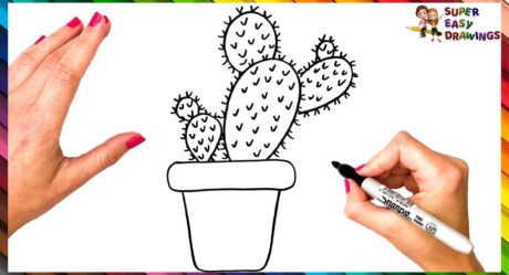 Como Dibujar Un Cactus Paso A Paso Dibujo De Cactus Fácil