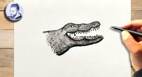 Comment dessiner une tête de crocodile