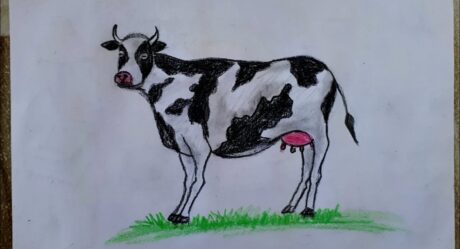 HOW TO DRAW A COW / COW DRAWING / ANIMAL DRAWING / İNEK NASIL ÇİZİLİR / İNEK RESMİ / HAYVAN ÇİZİMİ