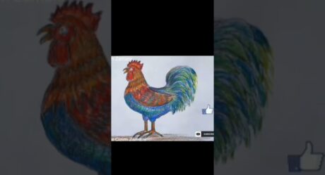 ROOSTER DRAWING / COCK DRAWING / HOROZ ÇİZİMİ / HOROZ RESMİ / ÇİZİMİN TAMAMI KANALIMDA