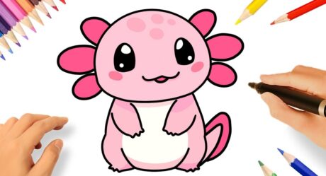 COMMENT DESSINER UN AXOLOTL MIGNON FACILE