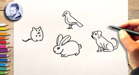 Comment dessiner les animaux domestiques