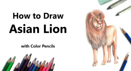 Comment dessiner un lion asiatique avec des crayons de couleur [Time Lapse]