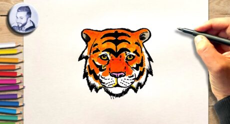 Comment dessiner une tete de tigre facilement