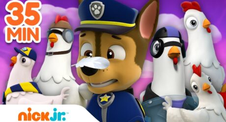 PAW PAtrol | 35 MINUTOS de Las mejores aventuras de Chickaletta | Nick Jr. en Español