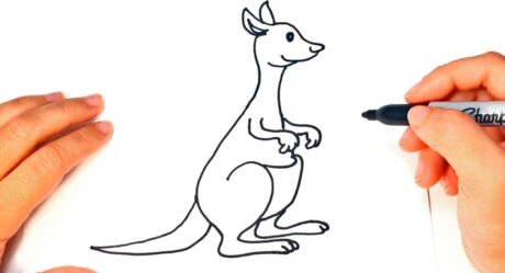 Cómo dibujar un canguro | Tutorial de dibujo fácil de canguro