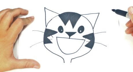 Comment dessiner une tête de chat étape par étape | Leçon de dessin de tête de chat